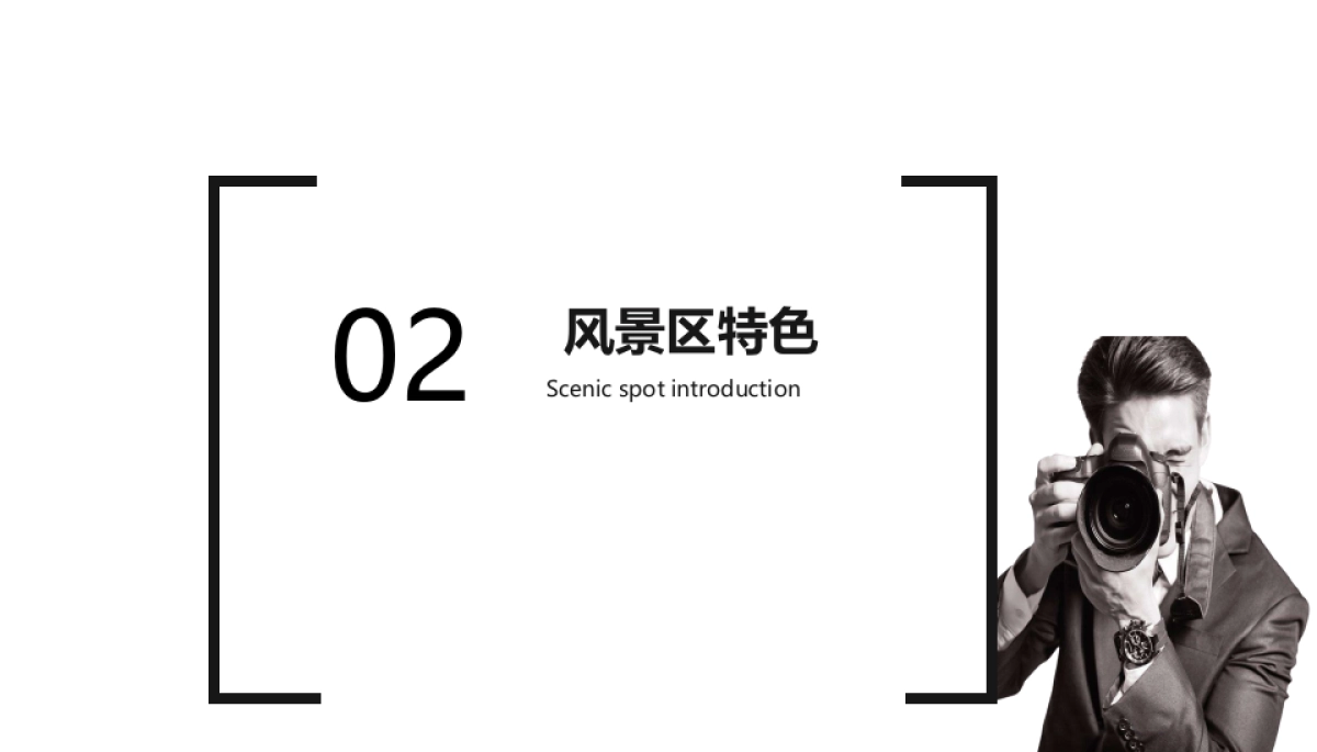 28作品简历_第8页