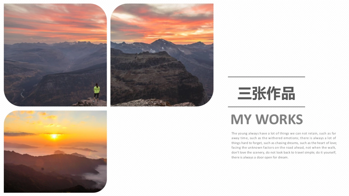 29作品简历_第5页