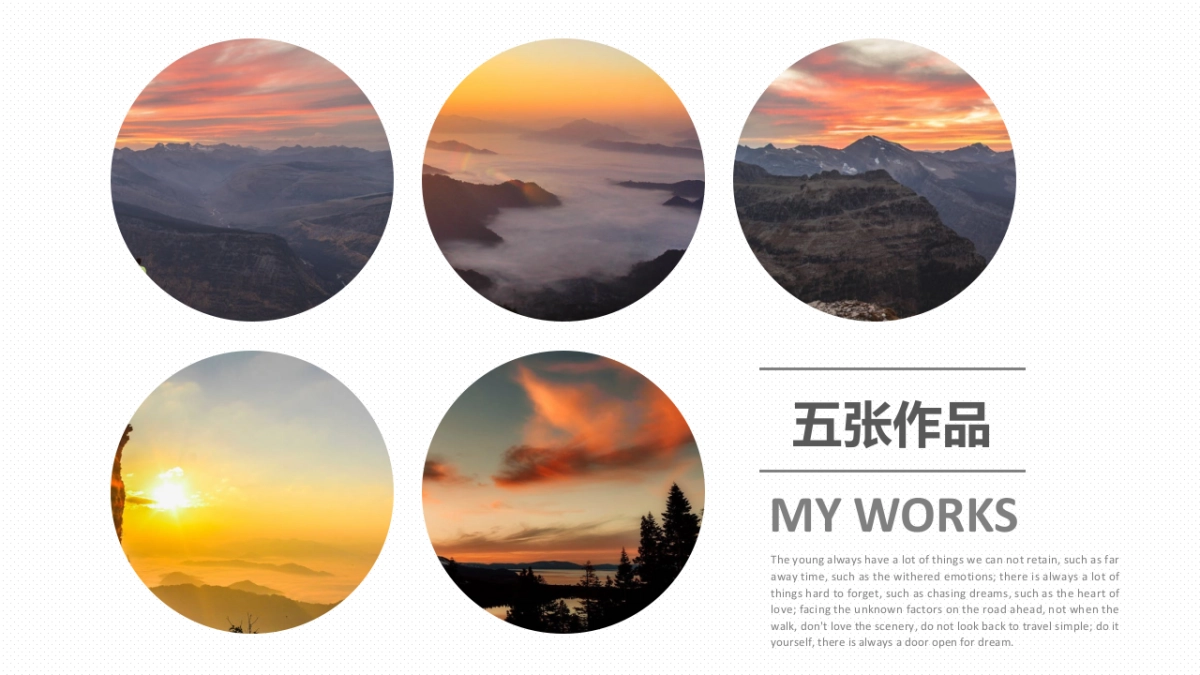 29作品简历_第7页