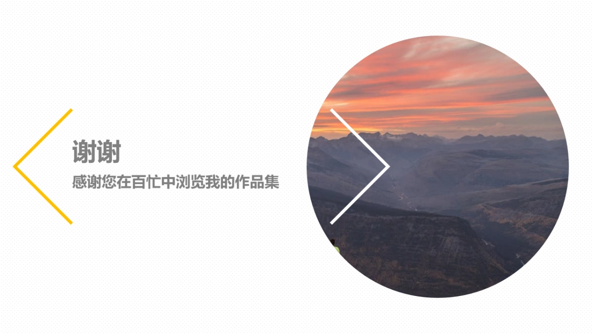 29作品简历_第8页