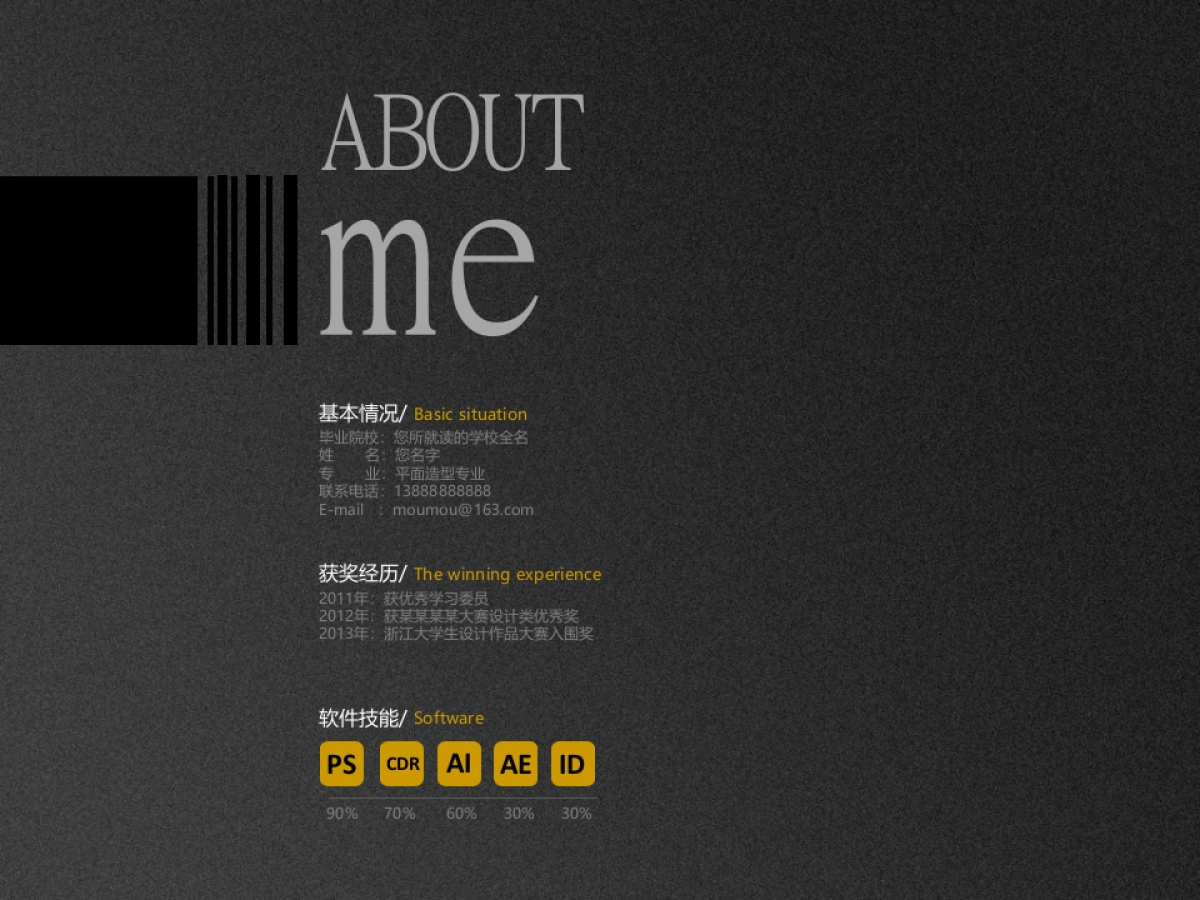 30作品简历_第3页