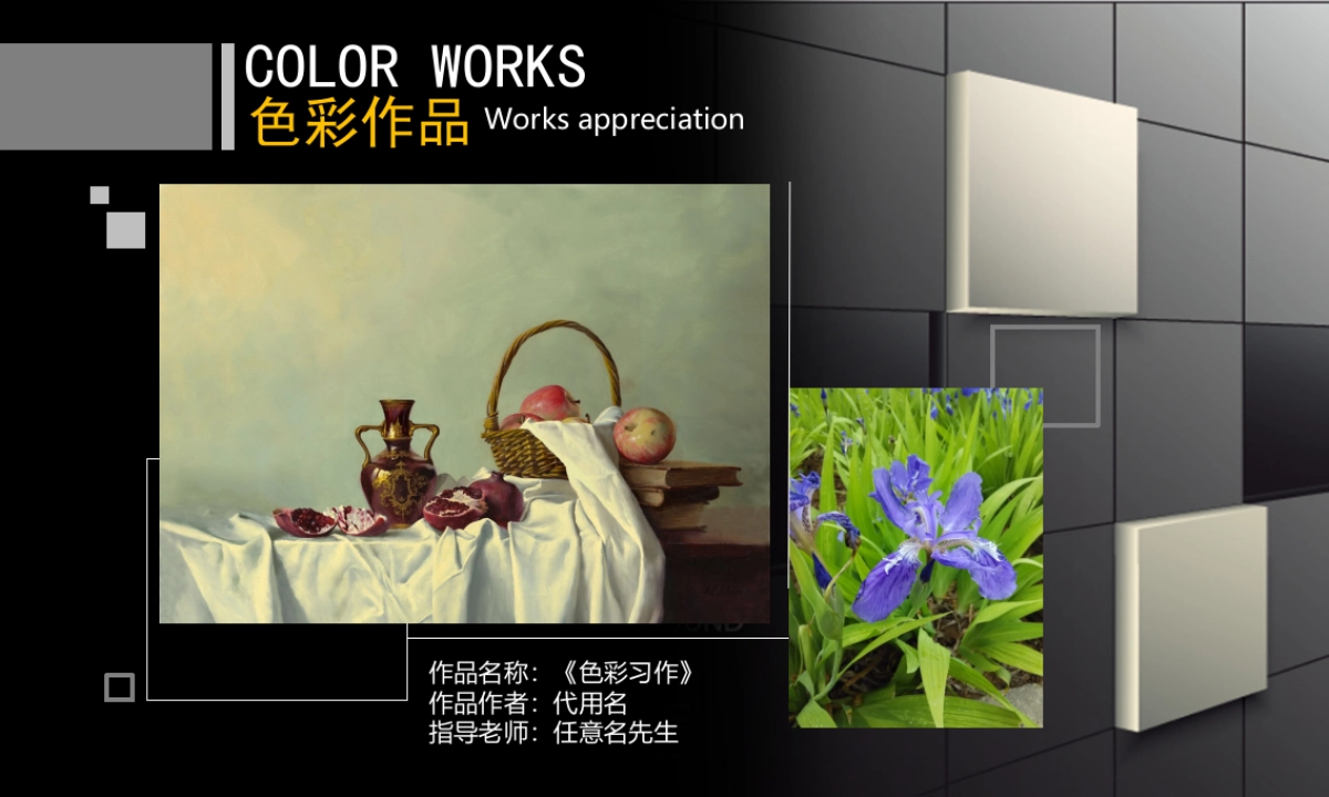 33作品简历_第10页