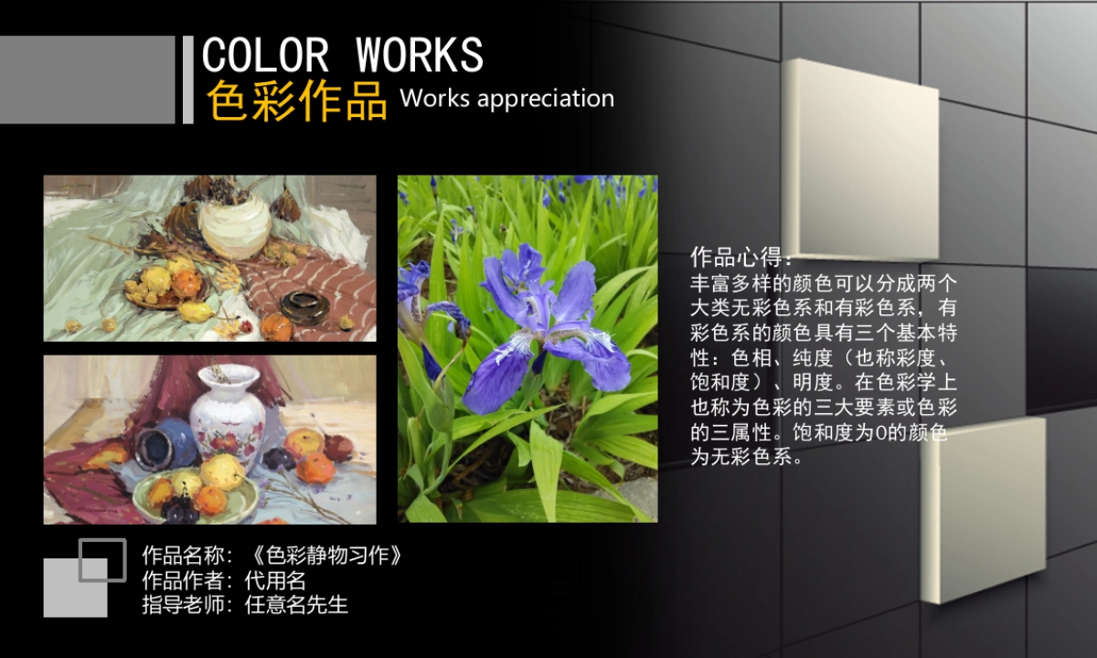 33作品简历_第8页