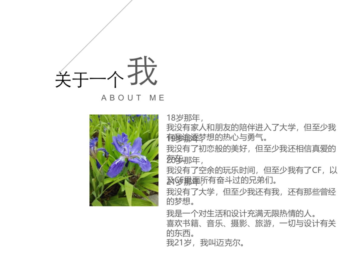 36作品简历_第2页