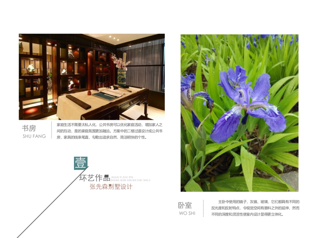 36作品简历_第8页