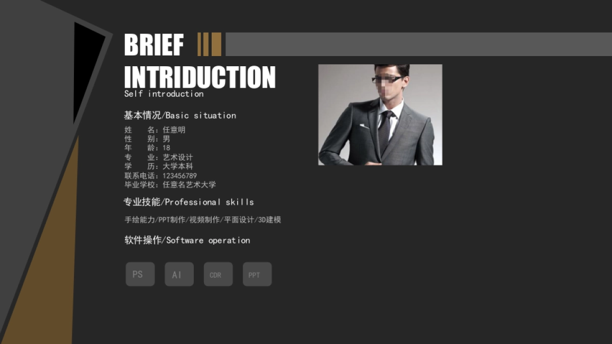 39作品简历_第3页