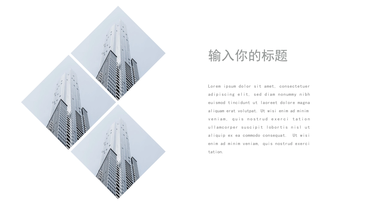 42作品简历_第3页