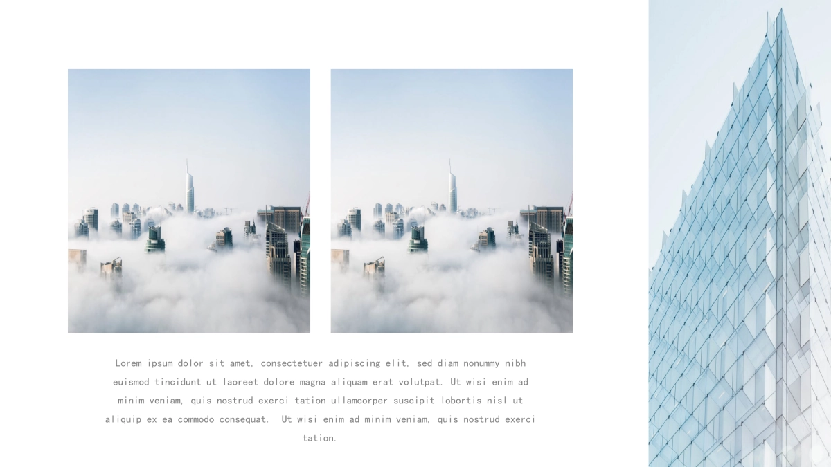 42作品简历_第4页