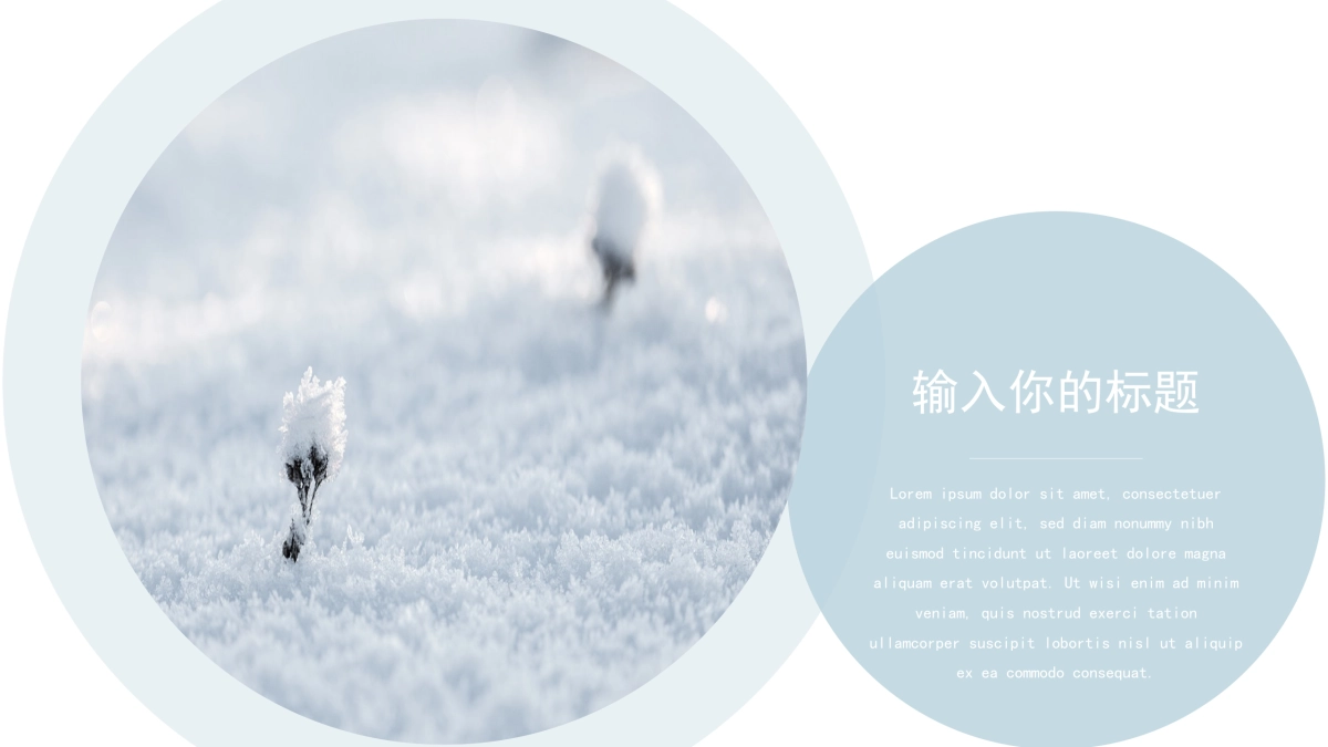 42作品简历_第6页