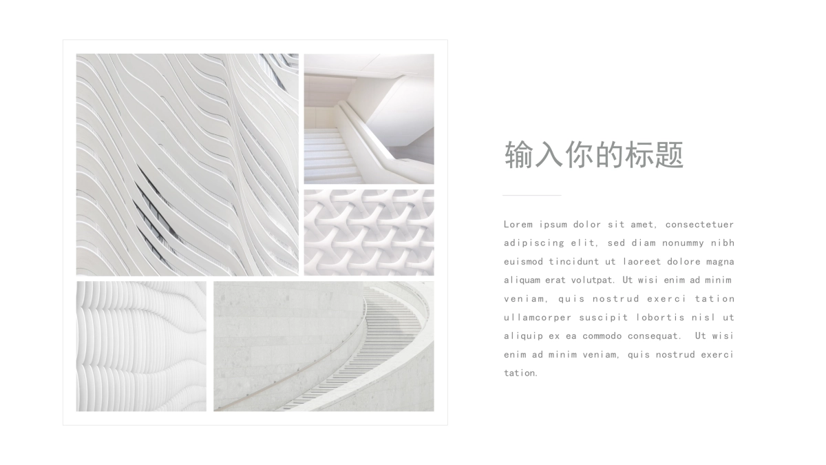 42作品简历_第8页