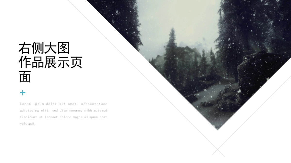 44作品简历_第9页