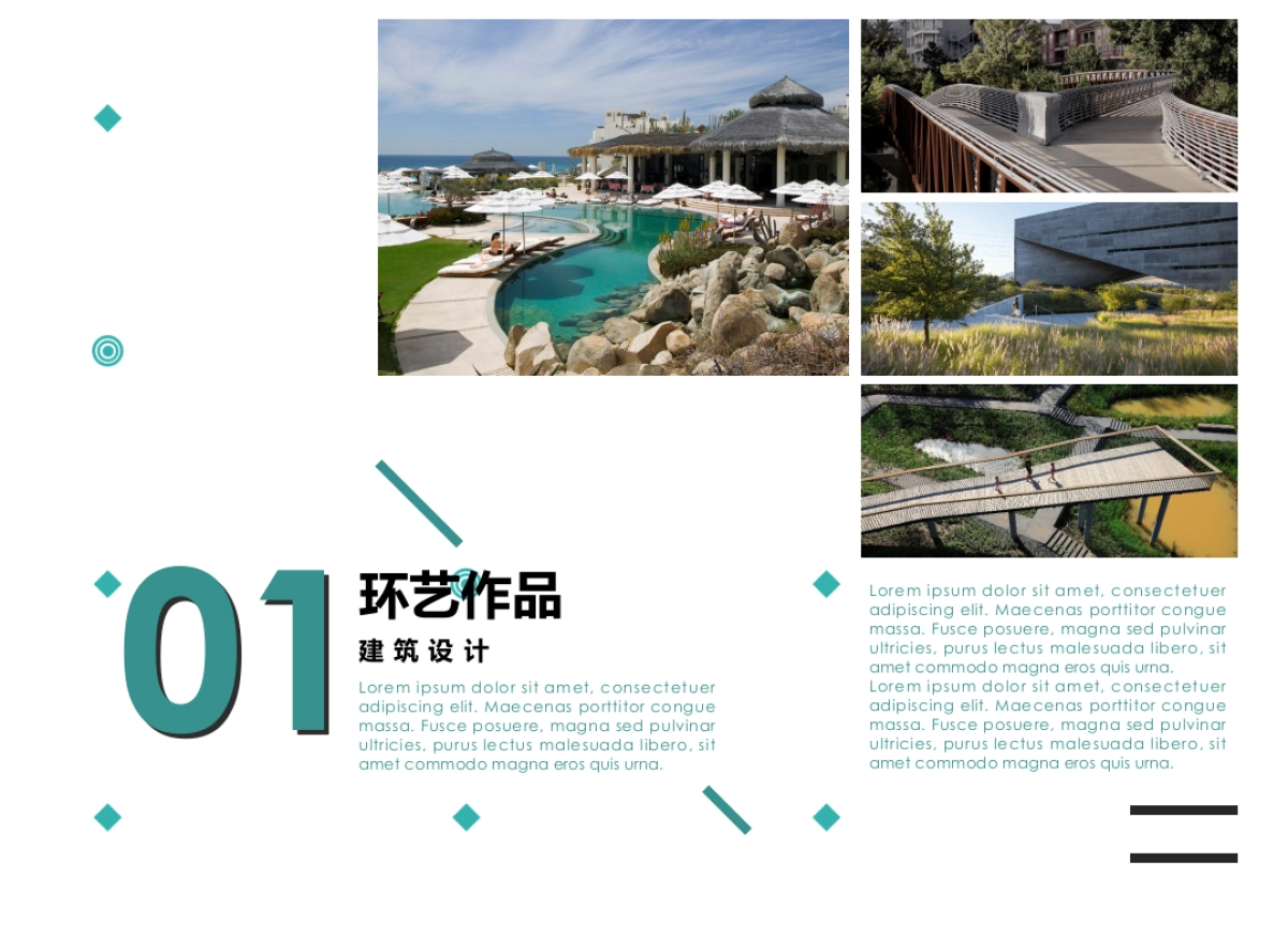 51作品简历_第5页