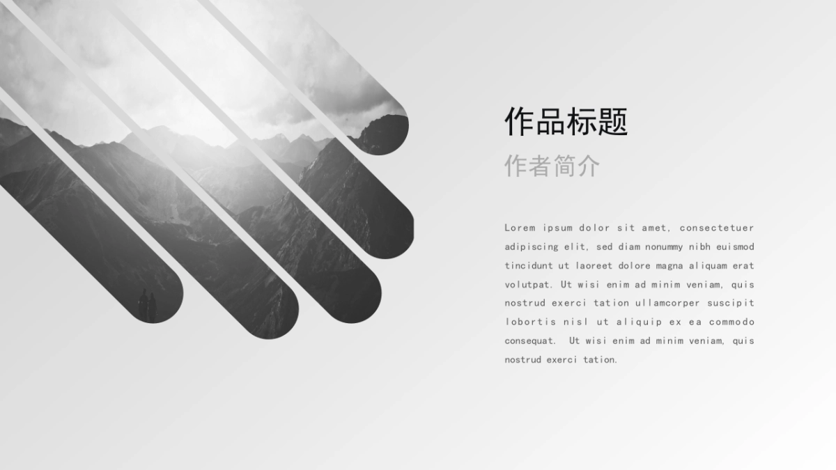 52作品简历_第5页