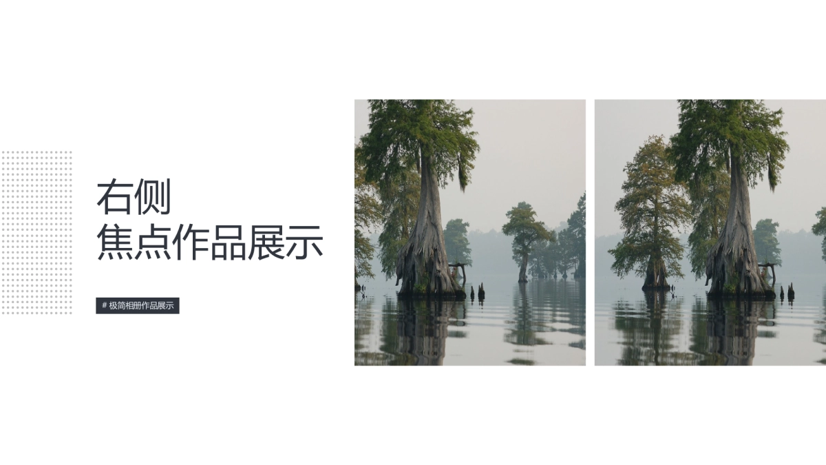 54作品简历_第3页