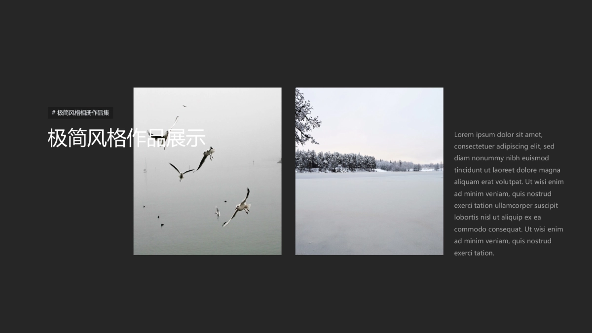 54作品简历_第4页