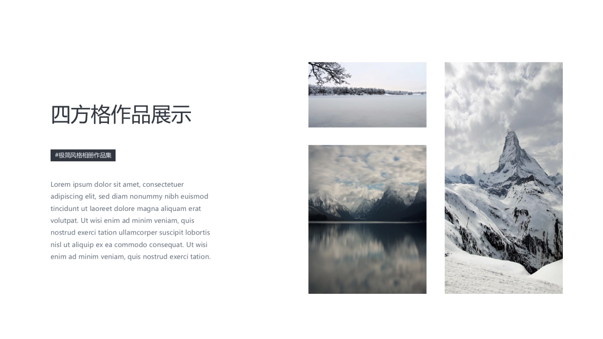 54作品简历_第5页