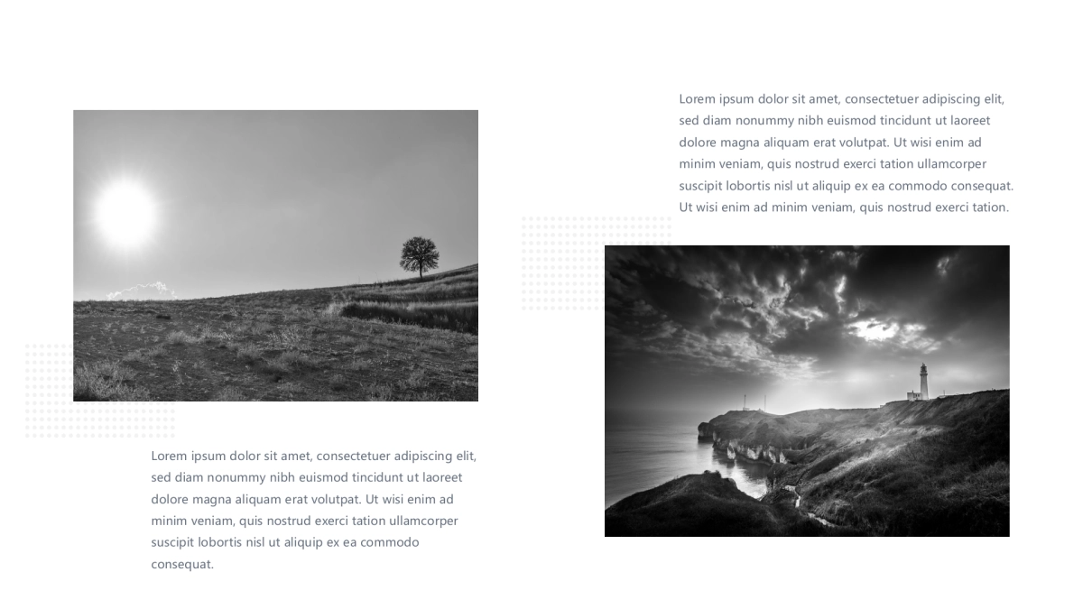 54作品简历_第8页