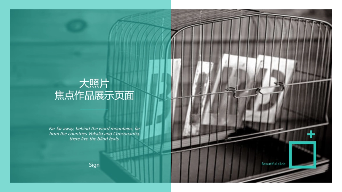 55作品简历_第10页