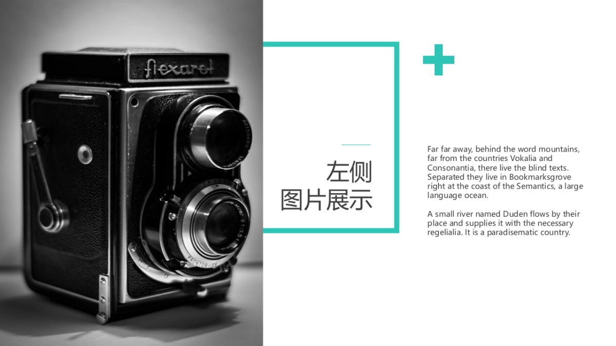 55作品简历_第2页