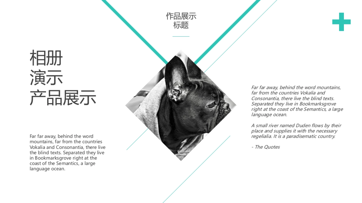 55作品简历_第5页