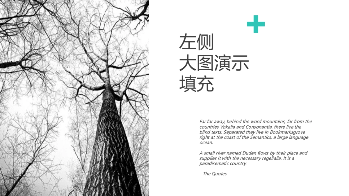 55作品简历_第6页