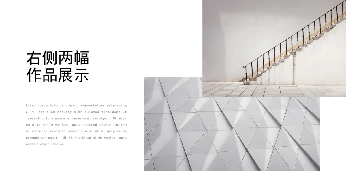 56作品简历_第2页