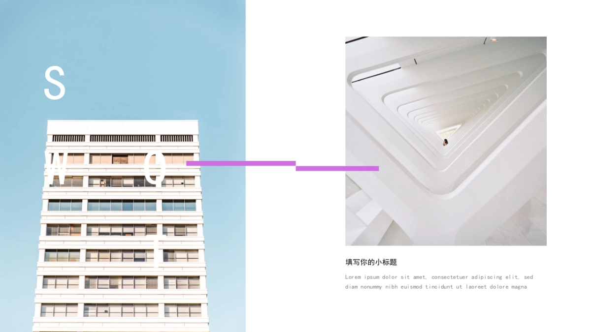 56作品简历_第3页