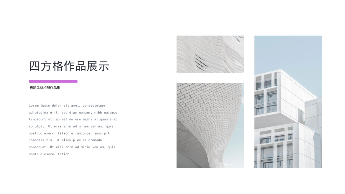 56作品简历_第4页