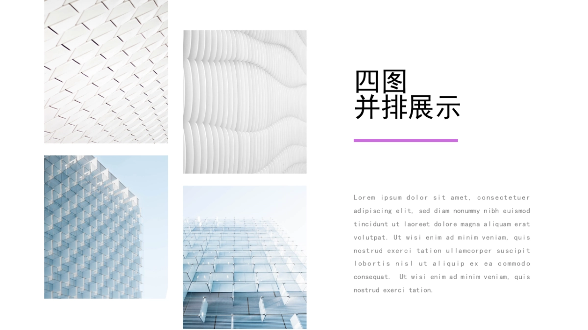 56作品简历_第6页