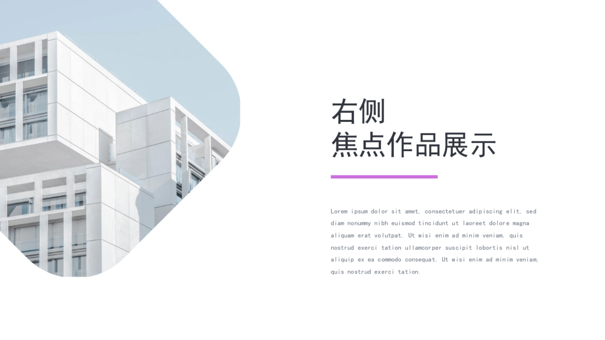 56作品简历_第7页