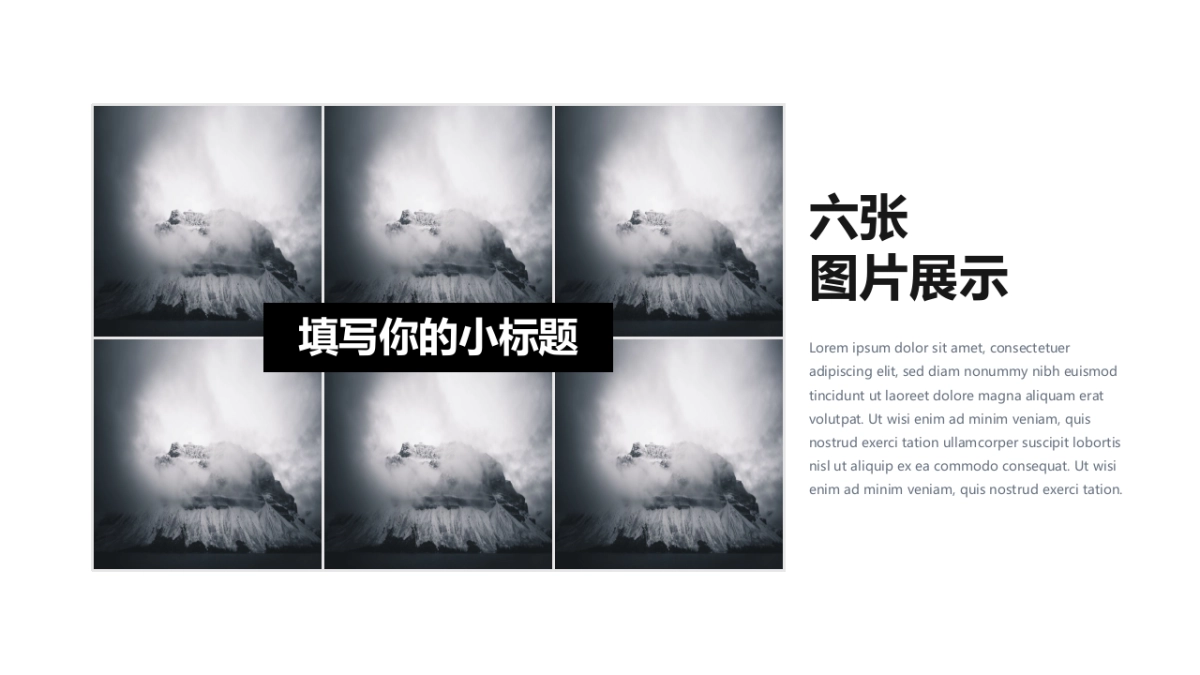 58作品简历_第5页