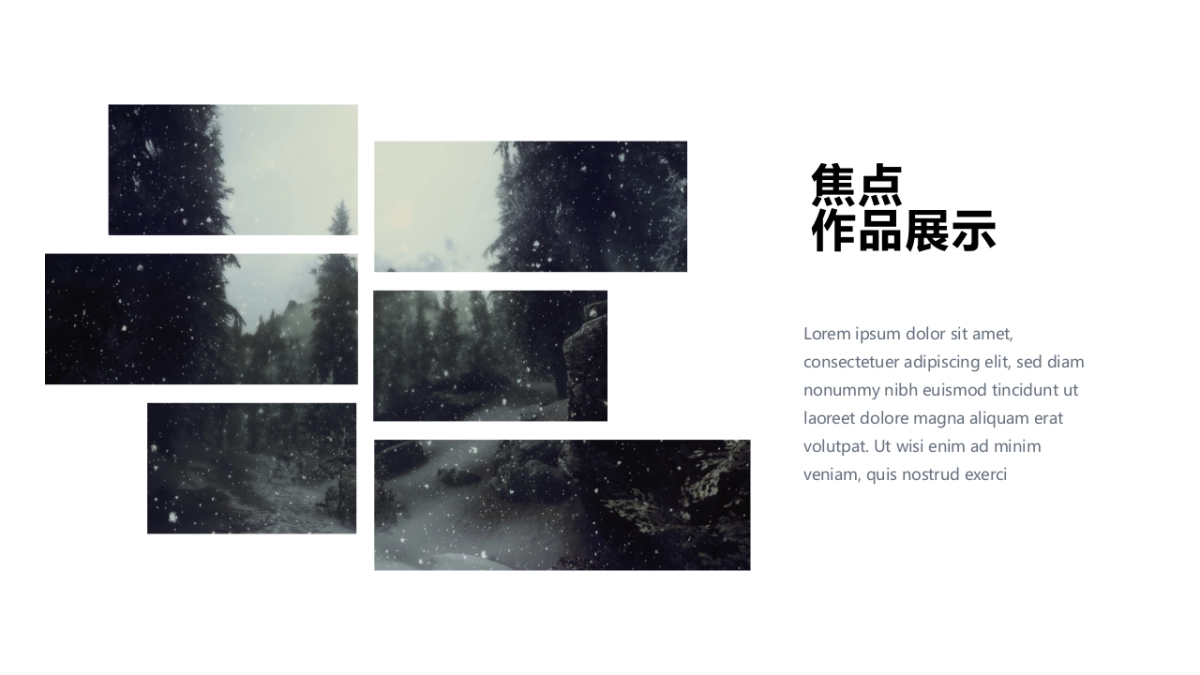 58作品简历_第8页