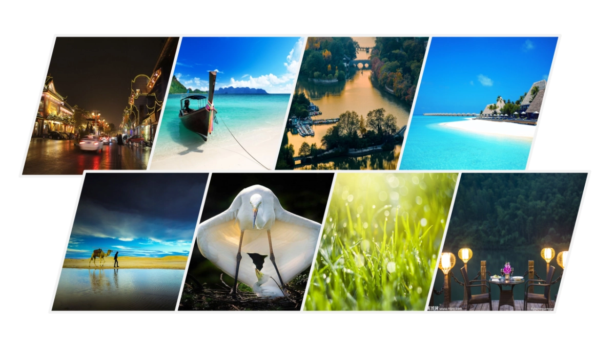 60作品简历_第10页