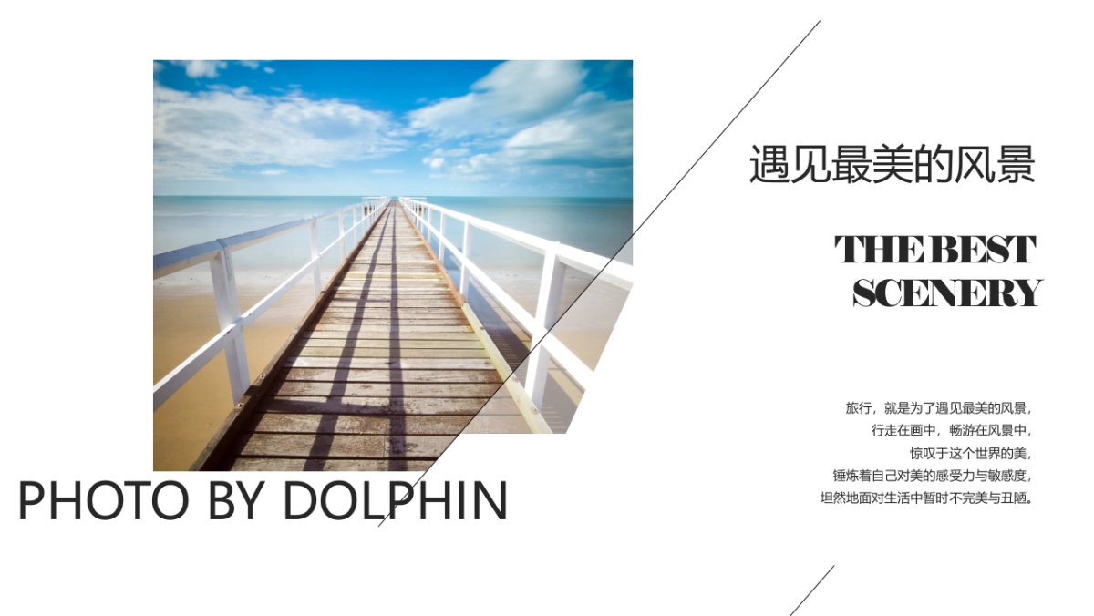 60作品简历_第4页