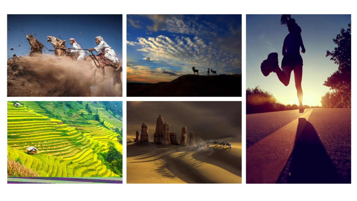 60作品简历_第8页