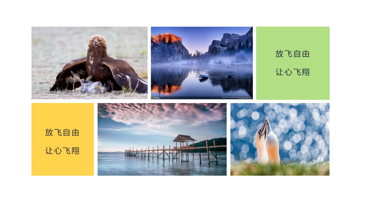 60作品简历_第9页