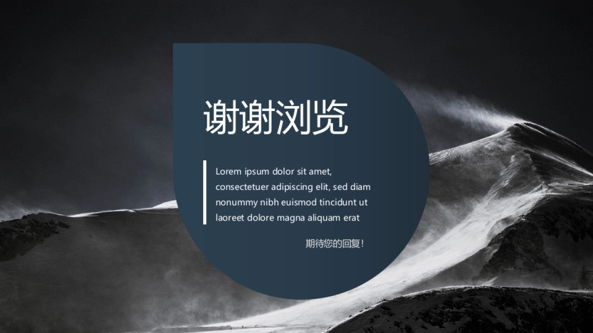 62作品简历_第10页