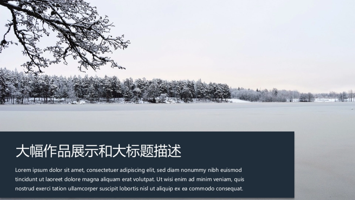 62作品简历_第4页