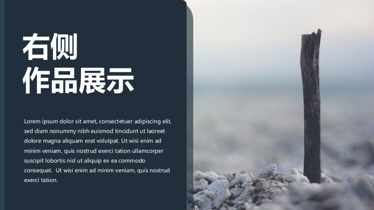 62作品简历_第5页