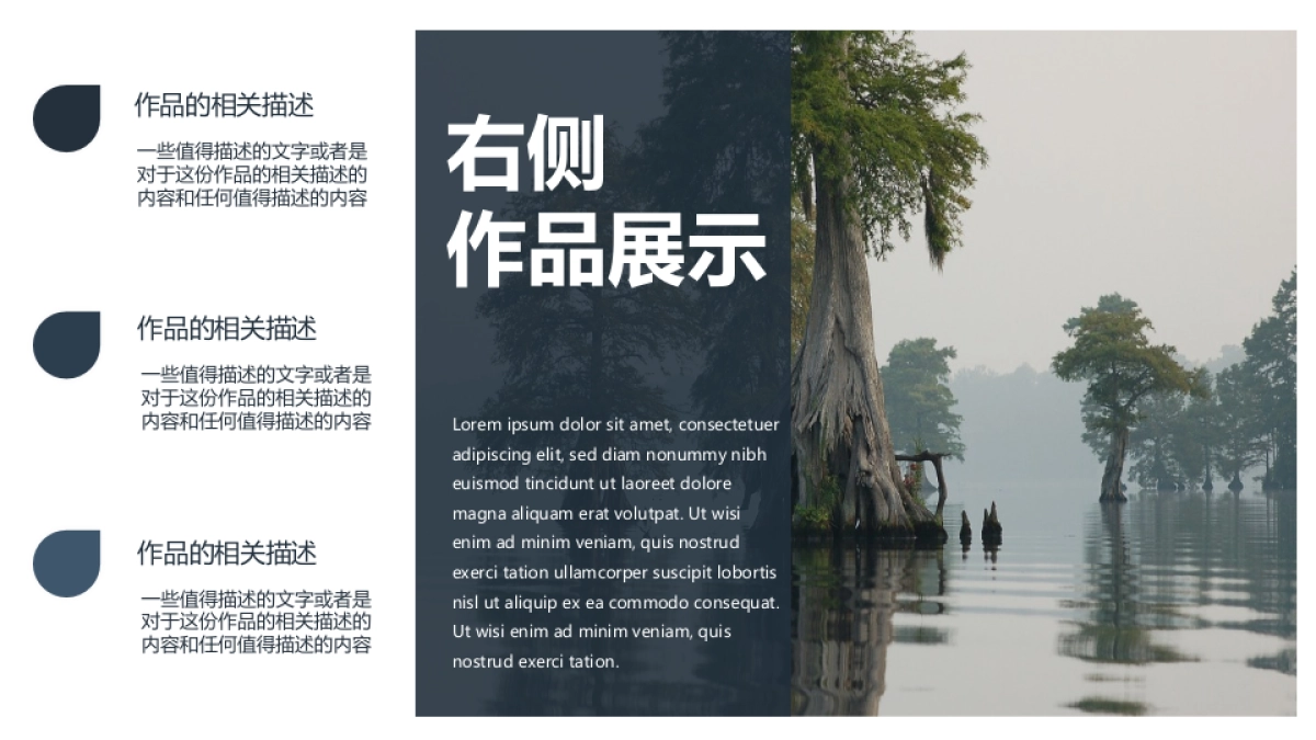 62作品简历_第9页