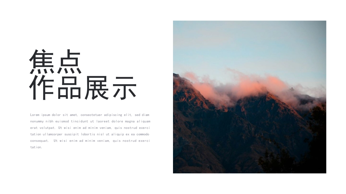 63作品简历_第2页