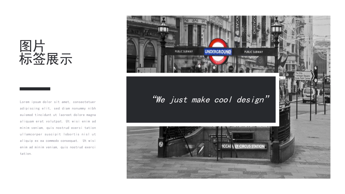 63作品简历_第3页