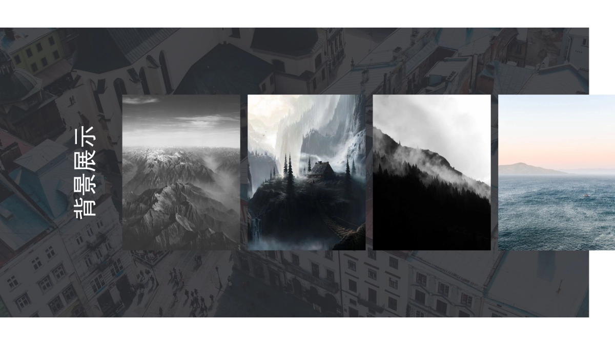 63作品简历_第6页