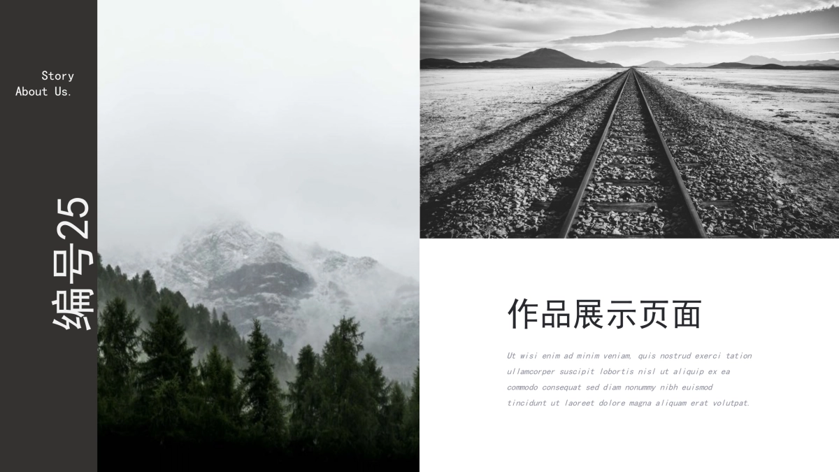 63作品简历_第7页