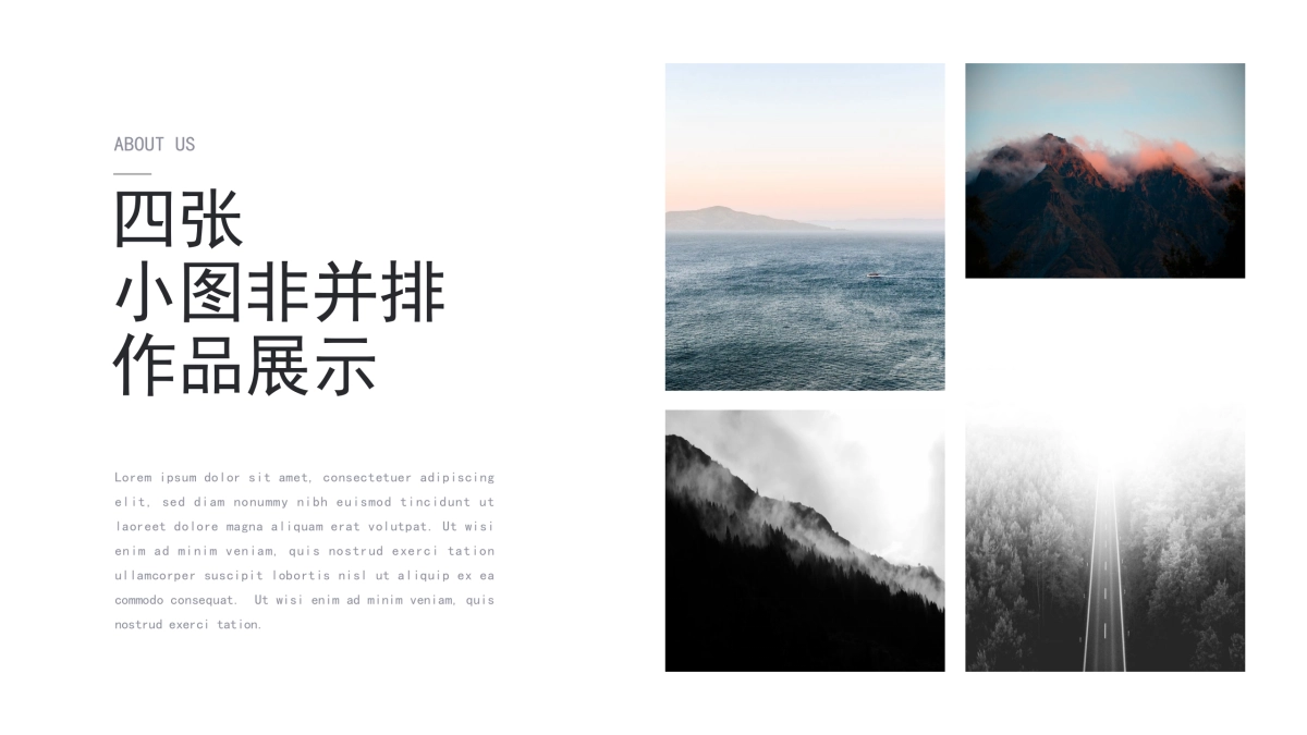 63作品简历_第9页