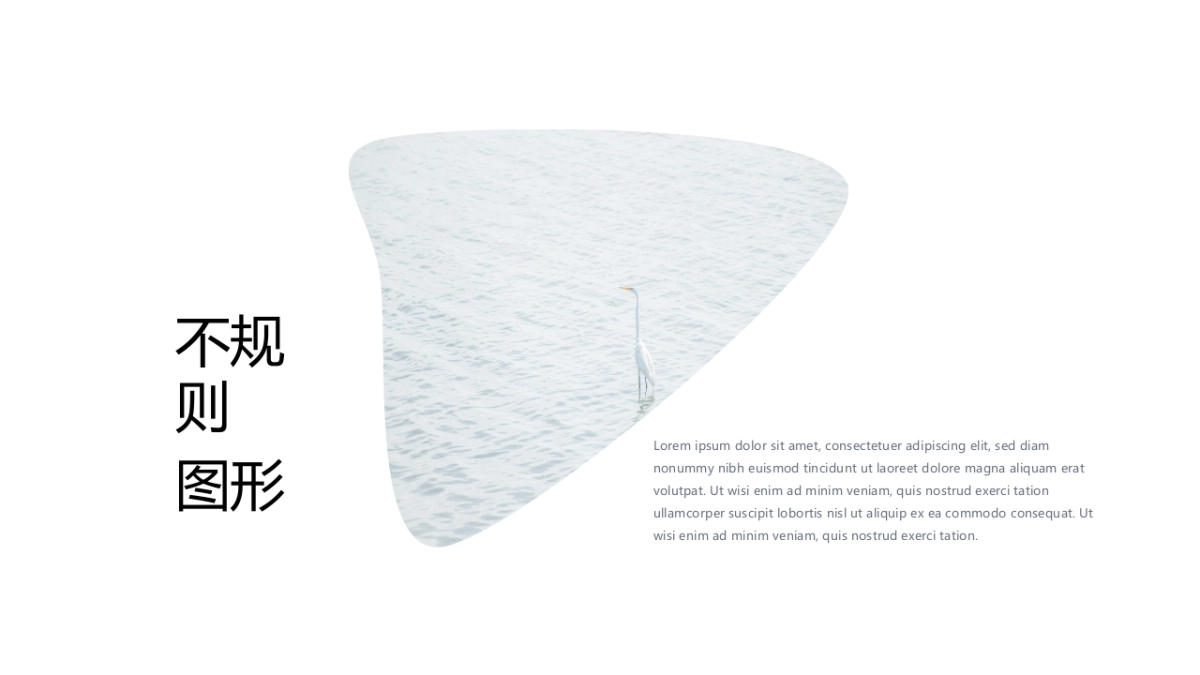 64作品简历_第2页