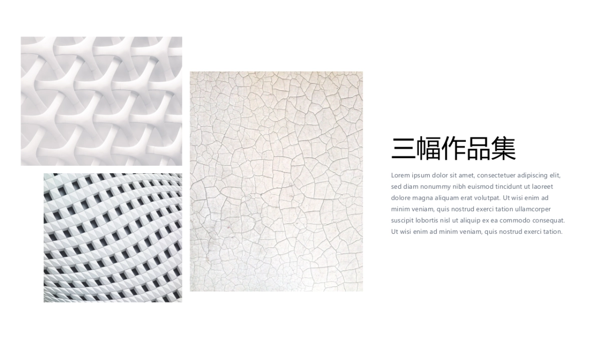 64作品简历_第6页