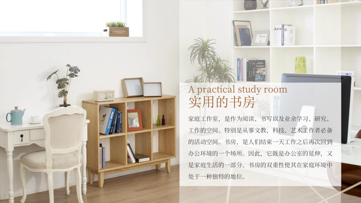 65作品简历_第8页