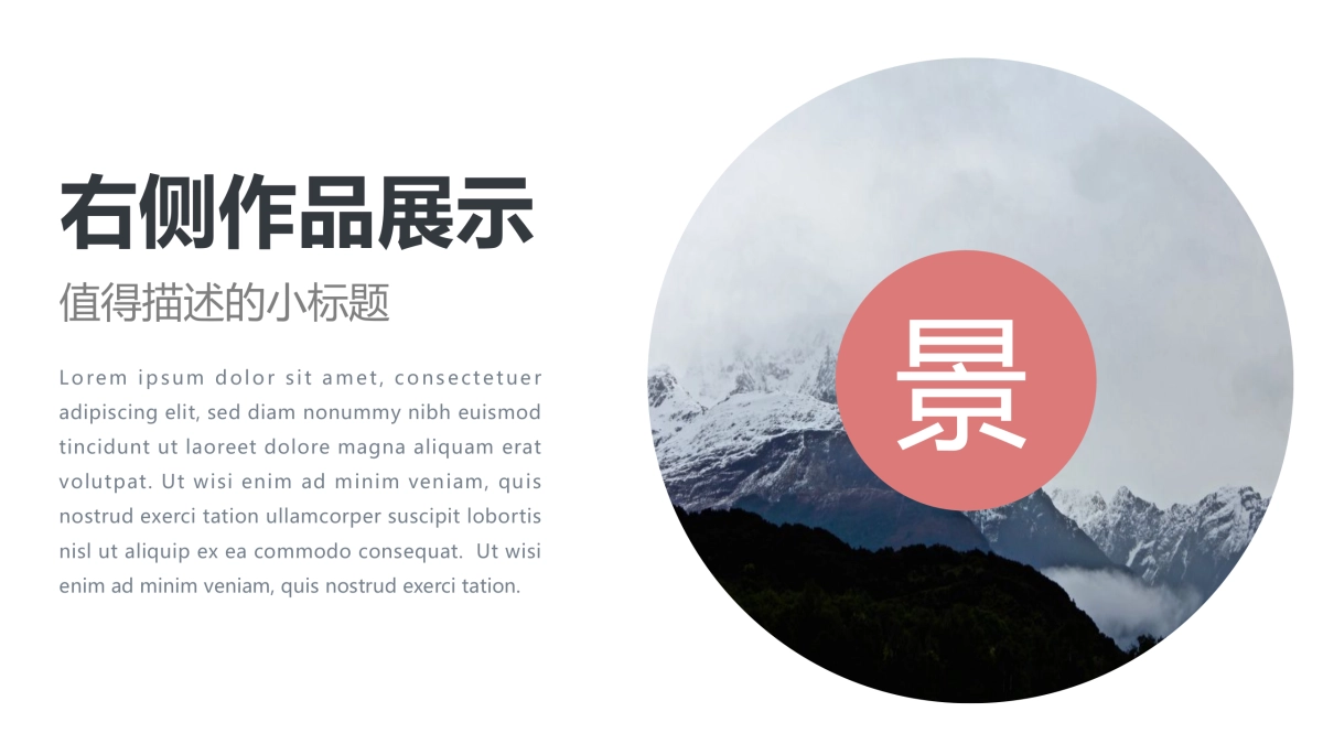 68作品简历_第2页