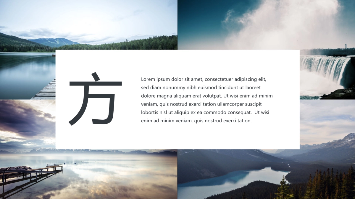 68作品简历_第7页